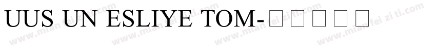 UUS UN ESLIYE TOM字体转换